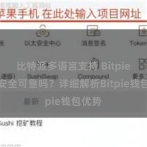 比特派多语言支持 Bitpie钱包安全可靠吗？详细解析Bitpie钱包优势