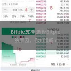 Bitpie支持 选择Bitpie的原因，你知道吗？