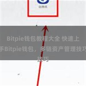 Bitpie钱包教程大全 快速上手Bitpie钱包，多链资产管理技巧