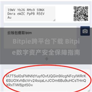 Bitpie跨平台下载 Bitpie数字资产安全保障指南