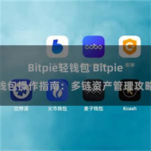 Bitpie轻钱包 Bitpie钱包操作指南：多链资产管理攻略