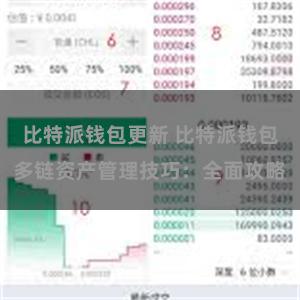 比特派钱包更新 比特派钱包多链资产管理技巧：全面攻略