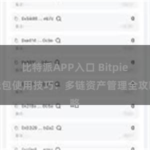 比特派APP入口 Bitpie钱包使用技巧：多链资产管理全攻略