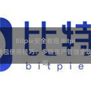 Bitpie安全教程 Bitpie钱包使用技巧：多链资产管理全攻略