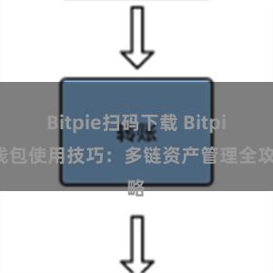 Bitpie扫码下载 Bitpie钱包使用技巧：多链资产管理全攻略