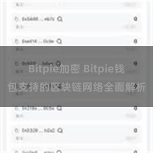 Bitpie加密 Bitpie钱包支持的区块链网络全面解析