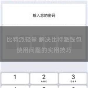 比特派轻量 解决比特派钱包使用问题的实用技巧