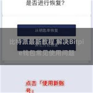 比特派最新教程 解决Bitpie钱包常见使用问题