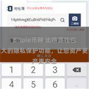 Bitpie币种 比特派钱包：强大的隐私保护功能，让您资产更安全