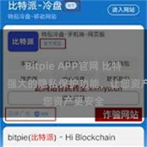 Bitpie APP官网 比特派钱包：强大的隐私保护功能，让您资产更安全