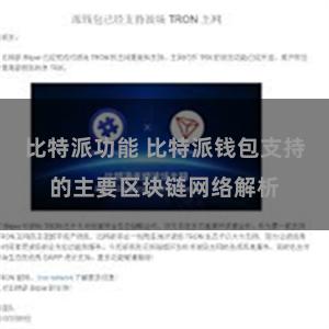 比特派功能 比特派钱包支持的主要区块链网络解析