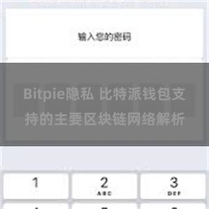 Bitpie隐私 比特派钱包支持的主要区块链网络解析