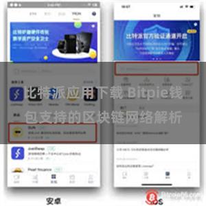 比特派应用下载 Bitpie钱包支持的区块链网络解析