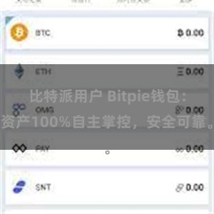 比特派用户 Bitpie钱包：资产100%自主掌控，安全可靠。