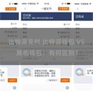 比特派支付 比特派钱包 VS 其他钱包：有何区别？