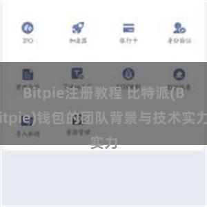 Bitpie注册教程 比特派(Bitpie)钱包的团队背景与技术实力