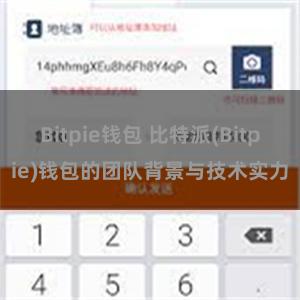 Bitpie钱包 比特派(Bitpie)钱包的团队背景与技术实力