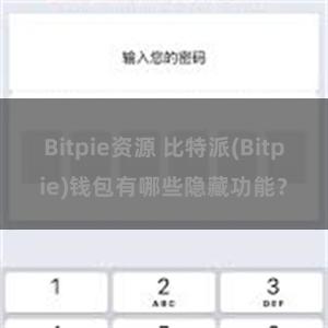 Bitpie资源 比特派(Bitpie)钱包有哪些隐藏功能？