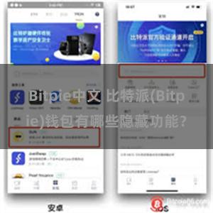 Bitpie中文 比特派(Bitpie)钱包有哪些隐藏功能？