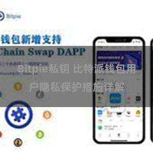 Bitpie私钥 比特派钱包用户隐私保护措施详解