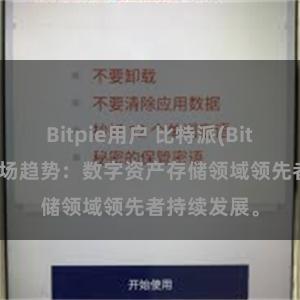 Bitpie用户 比特派(Bitpie)钱包市场趋势：数字资产存储领域领先者持续发展。