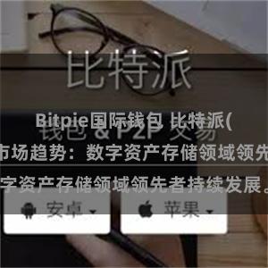 Bitpie国际钱包 比特派(Bitpie)钱包市场趋势：数字资产存储领域领先者持续发展。